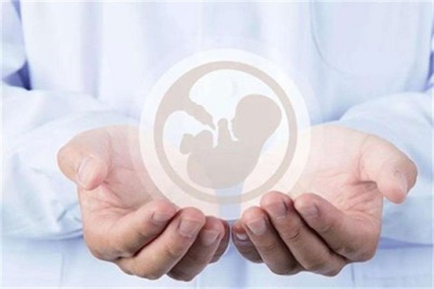 http://yantai.hy-ly.com/post/203.html|烟台试管助孕